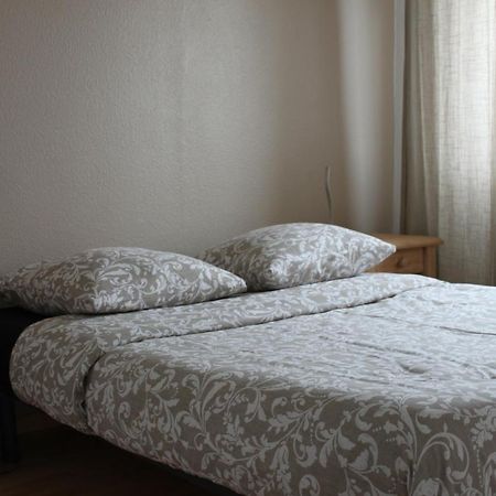 Cosy F2 Basel Saint-Louis Apartment Екстериор снимка